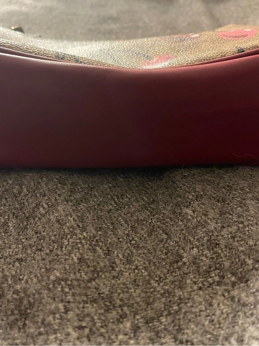 Coach Cherry-Print Mini Shoulder Bag in Brown and Red